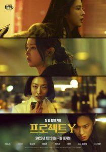 Dự Án Y (Project Y)